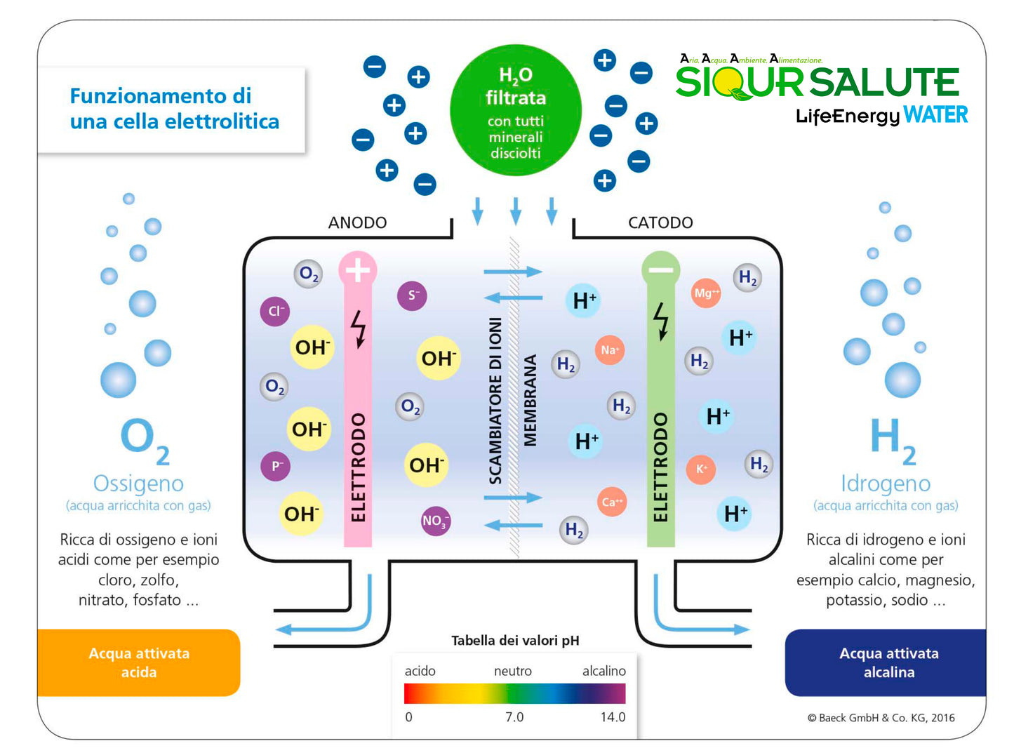 Purificatore e Ionizzatore d’Acqua LifeEnergy